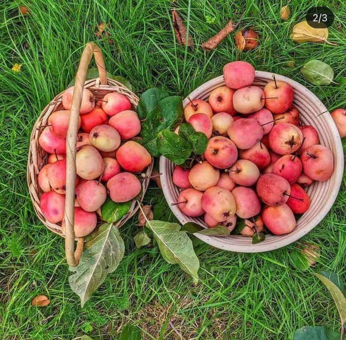 The Apple And Plum Cottage Studio Apartment New Reading Esterno foto