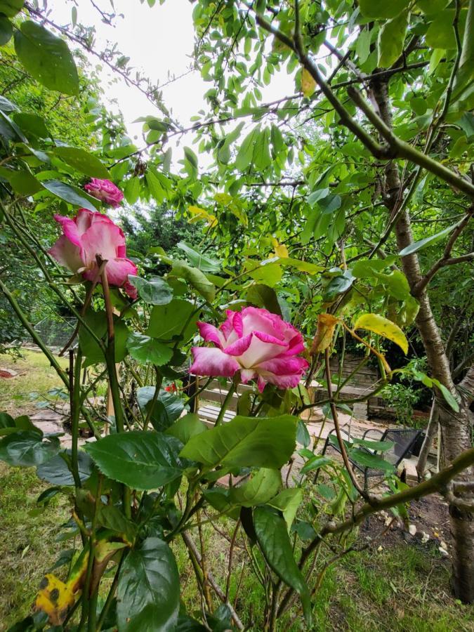 The Apple And Plum Cottage Studio Apartment New Reading Esterno foto